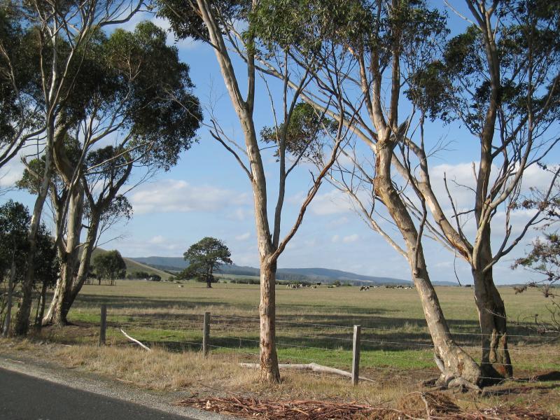 Port Welshpool - Woorarra Road, Welshpool: Easterly view, Woorarra Rd just north of Sidney St