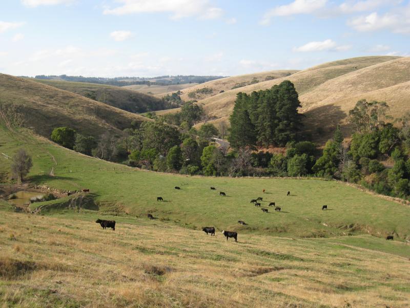 Port Welshpool - Slades Hill Road, Welshpool: North-east view, Slades Hill Rd 1km from South Gippsland Hwy