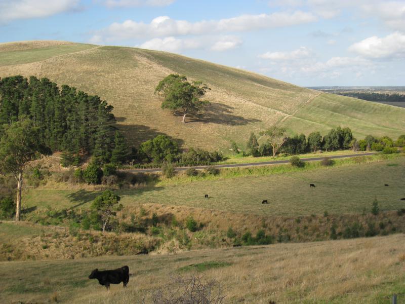 Port Welshpool - Slades Hill Road, Welshpool: Easterly view, Slades Hill Rd 1km from South Gippsland Hwy
