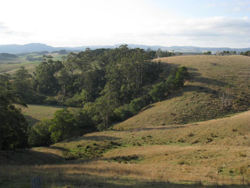 Port Welshpool - Agnes Falls Road: Northerly views along road