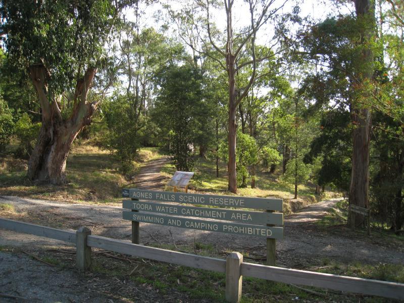 Port Welshpool - Agnes Falls Scenic Reserve: View from car park