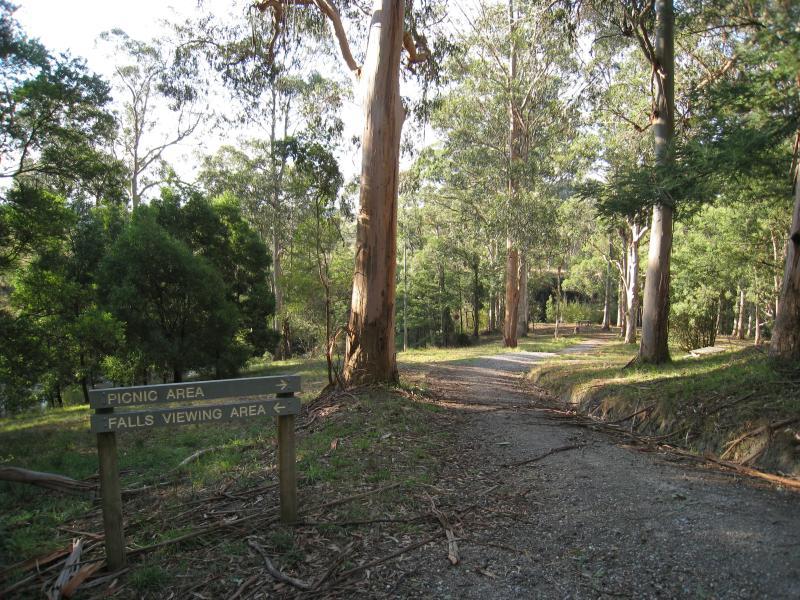 Port Welshpool - Agnes Falls Scenic Reserve: Start of walking tracks at car park