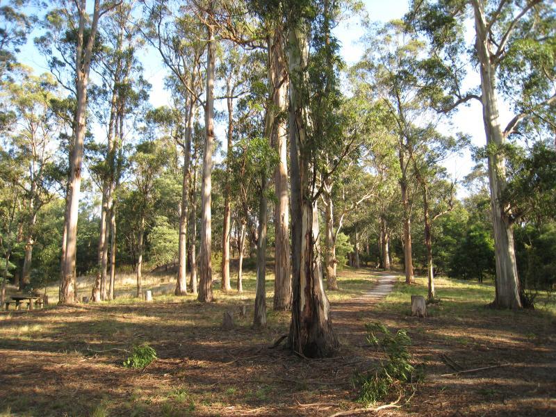 Port Welshpool - Agnes Falls Scenic Reserve: Picnic area