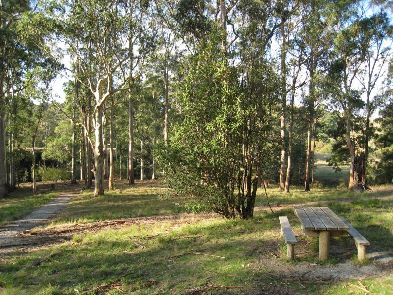 Port Welshpool - Agnes Falls Scenic Reserve: Picnic area