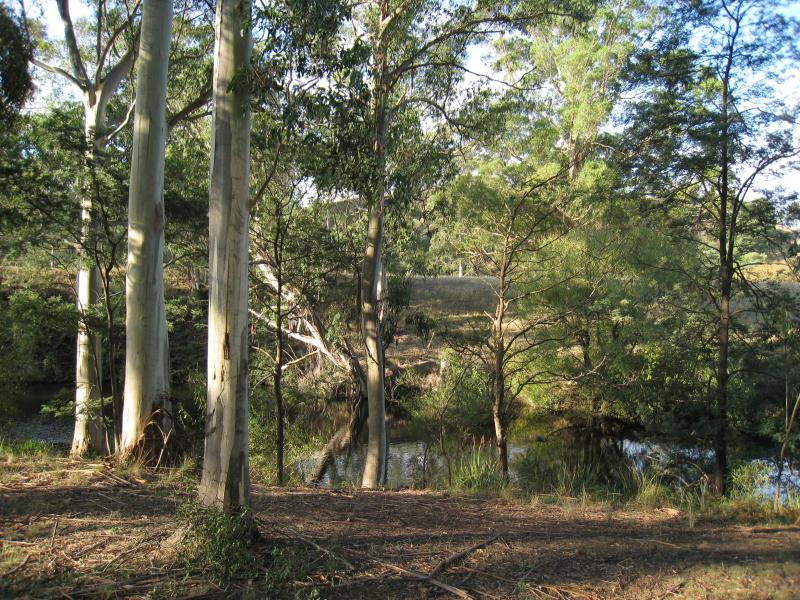 Port Welshpool - Agnes Falls Scenic Reserve: Agnes River at picnic area