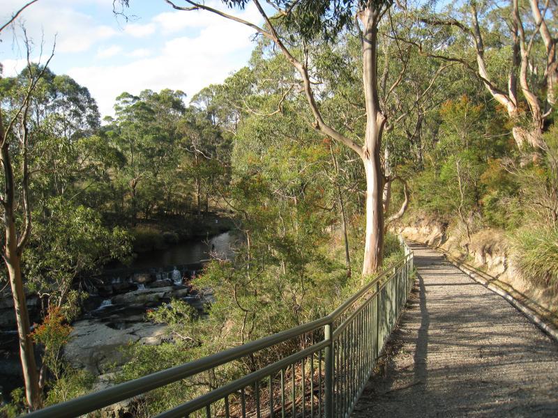 Port Welshpool - Agnes Falls Scenic Reserve: Walking track above Agnes Falls