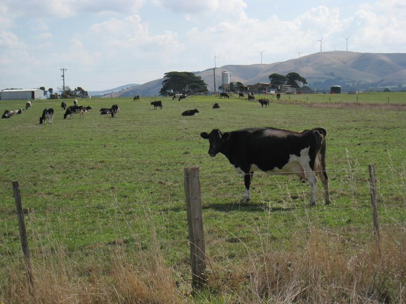 Port Welshpool - Barry Beach: View north-west across paddock towards Toora wind farm, Barry Rd near South Gippsland Hwy