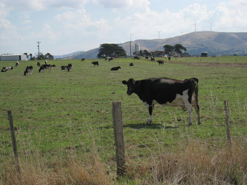 Port Welshpool - Barry Beach - View north-west across paddock towards Toora wind farm, Barry Rd near South Gippsland Hwy