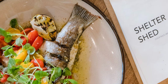 Shelter Shed, Queenscliff