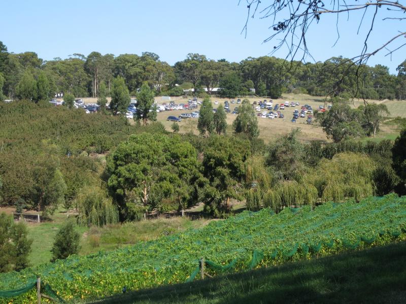 Red Hill - White Hill Road: View south across Foxeys Hangout Winery towards Red Hill Recreation Reserve