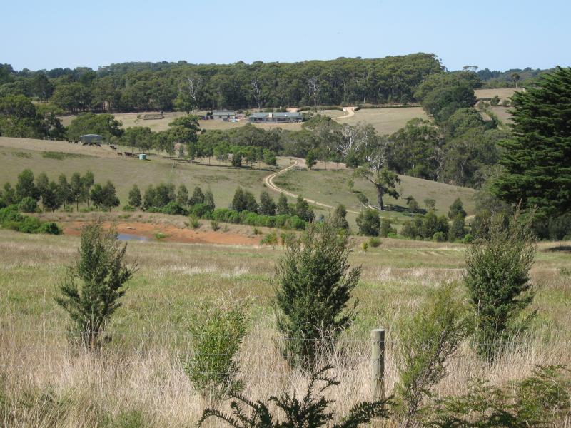 Red Hill - Around Red Hill: View east, Mornington-Flinders Rd north of Stony Creek Rd