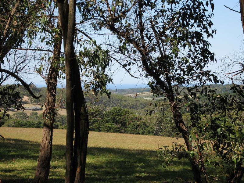 Red Hill - Around Red Hill: View south, Arthurs Seat Rd east of Mornington-Flinders Rd