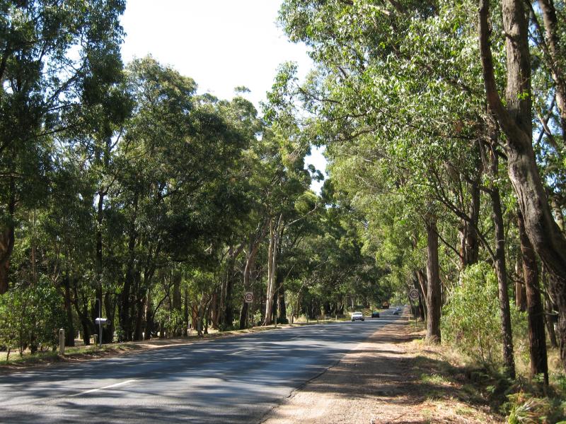 Red Hill - Around Red Hill: View east along Arthurs Seat Rd east of Mornington-Flinders Rd