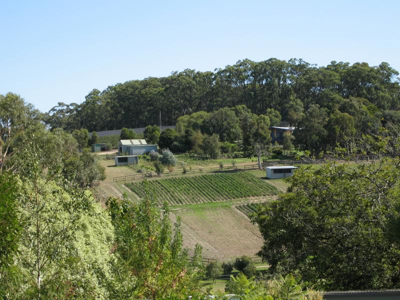 Red Hill - Around Red Hill: View north-west, Shoreham Rd opposite Red Hill Centrepoint Shopping Centre
