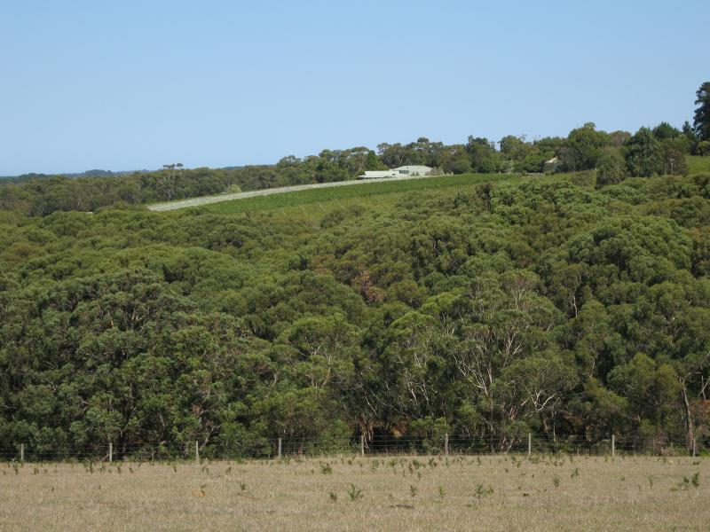 Red Hill - Around Red Hill: View south from Oceanview Av towards Red Hill Estate Winery
