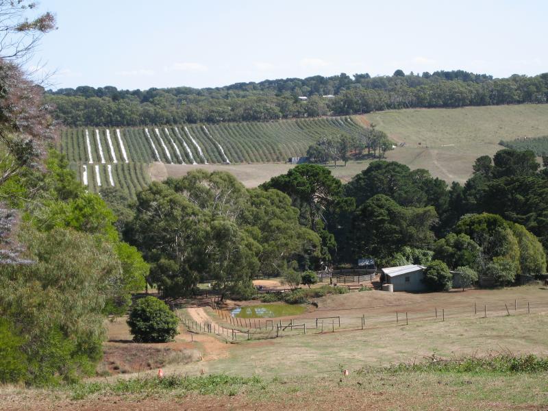 Red Hill - Around Red Hill: View west from Shoreham Rd, south of Oceanview Av