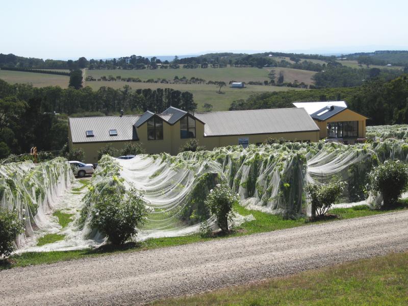 Red Hill - Eldridge Estate Winery, Arthurs Seat Road: View towards cellar door