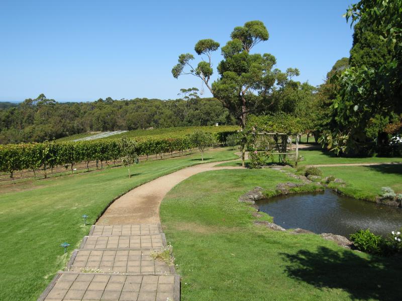 Red Hill - Red Hill Estate, Shoreham Road: Pond and grape vines