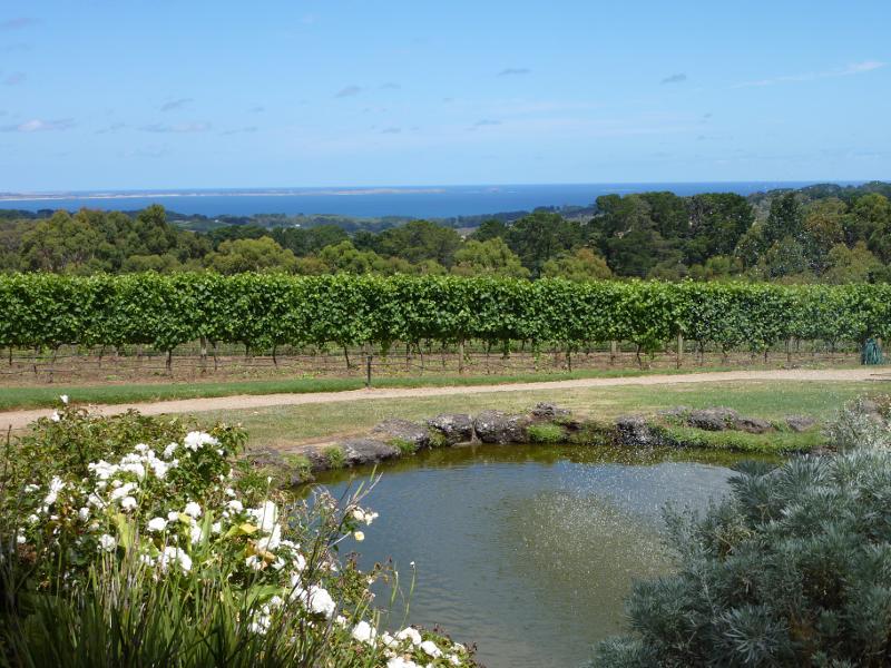 Red Hill - Red Hill Estate, Shoreham Road: View across pond and grape vines towards Western Port