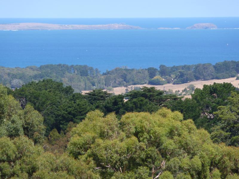Red Hill - Red Hill Estate, Shoreham Road: View across Western Port towards The Nobbies at Phillip Island