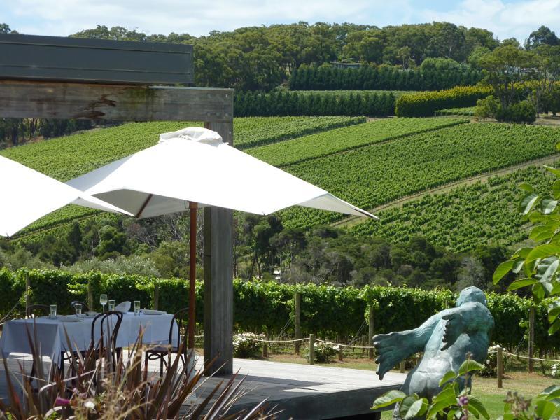 Red Hill - Montalto Vineyard, Shoreham Road: Tables on restaurant deck overlooking vines