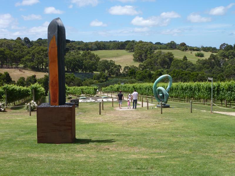 Red Hill - Montalto Vineyard, Shoreham Road: Lawns and vines near pathway to wetlands