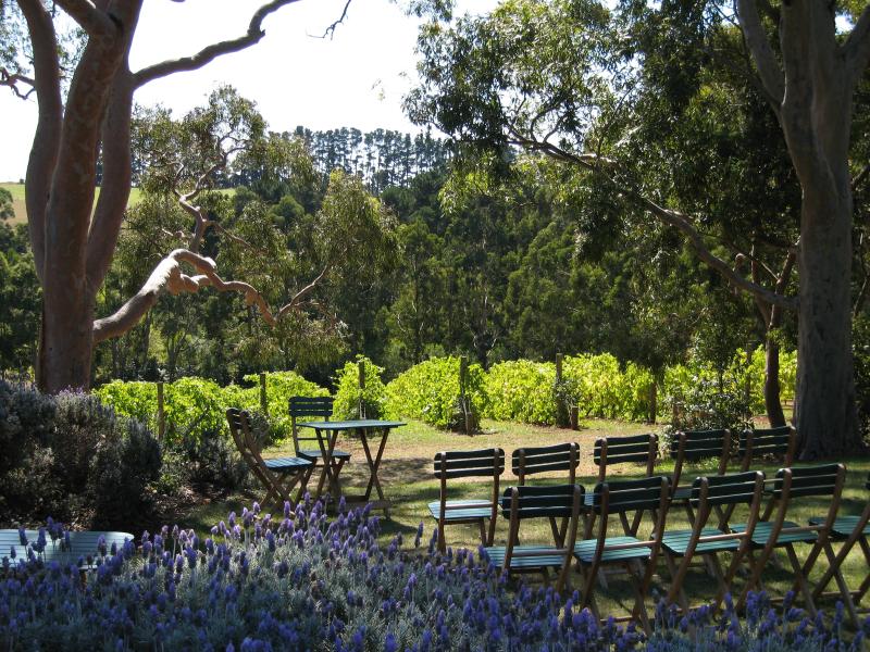 Red Hill - Vines of Red Hill, Red Hill Road: Outdoor seating near grape vines