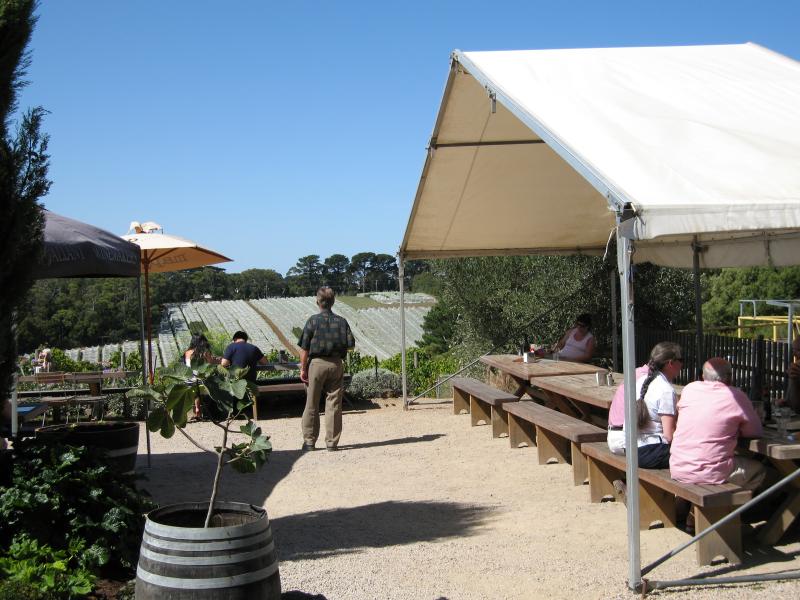 Red Hill - T'Gallant Winery, Mornington-Flinders Road, Main Ridge: Outdoor tables