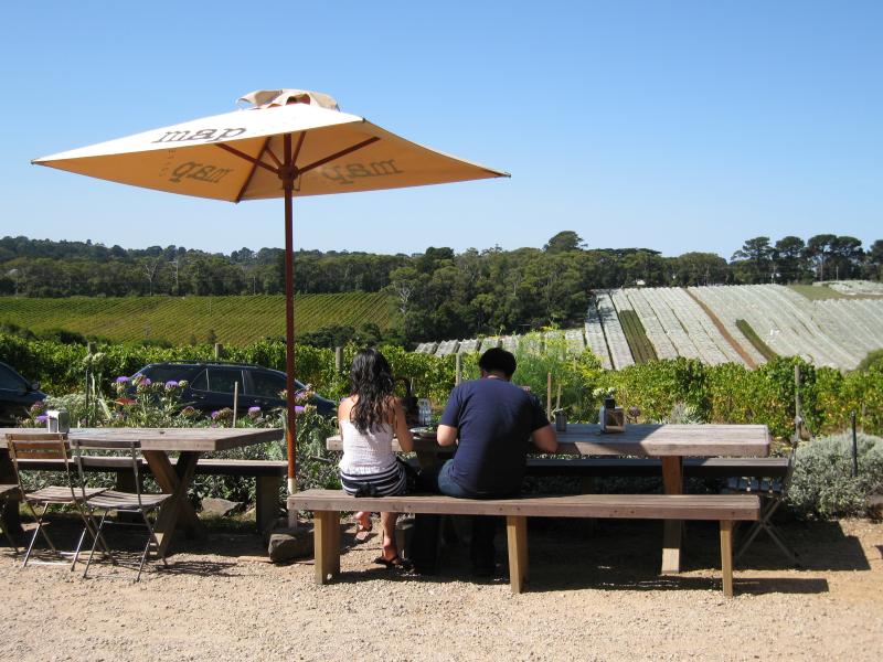 Red Hill - T'Gallant Winery, Mornington-Flinders Road, Main Ridge: Tables overlooking vineyard