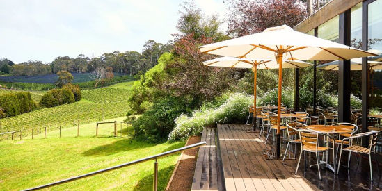 Foxeys Hangout, Red Hill