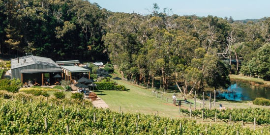 Green Olive at Red Hill, Red Hill