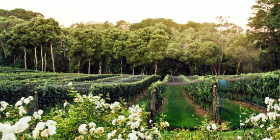 Mantons Creek Estate, Shoreham