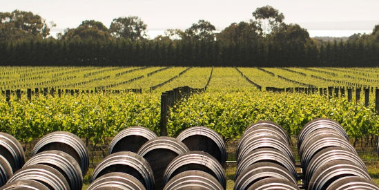 Ten Minutes By Tractor, Main Ridge