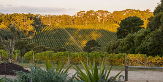 T'Gallant, Main Ridge