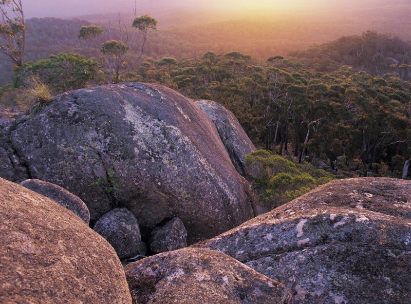 Croajingolong national park clearance walks