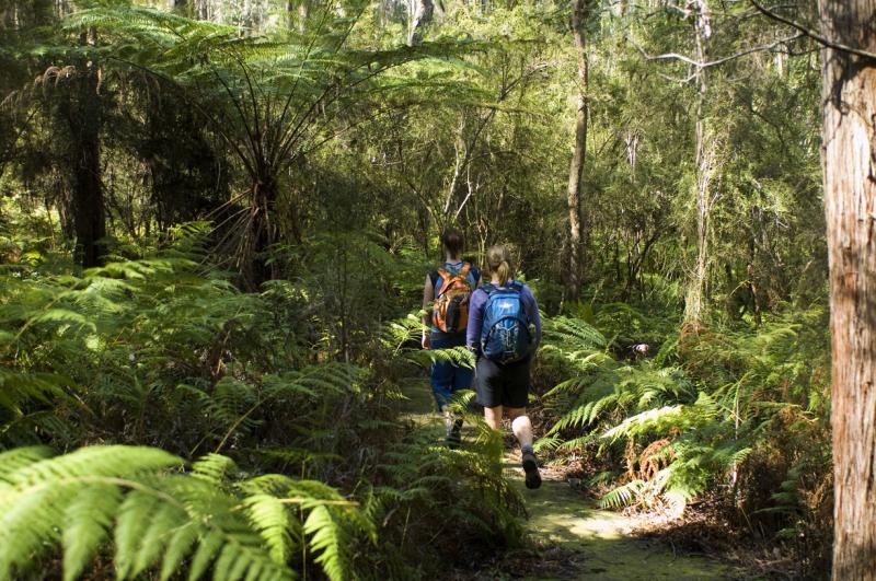 Croajingolong national park walks deals
