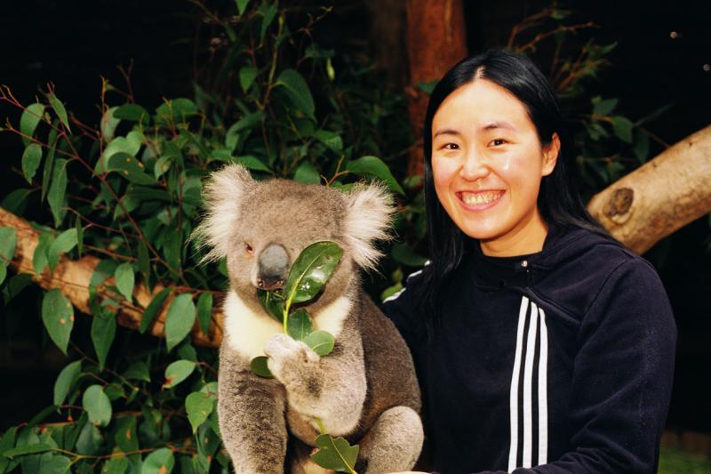 Goldfields highlights - Koala, Ballarat Wildlife Park