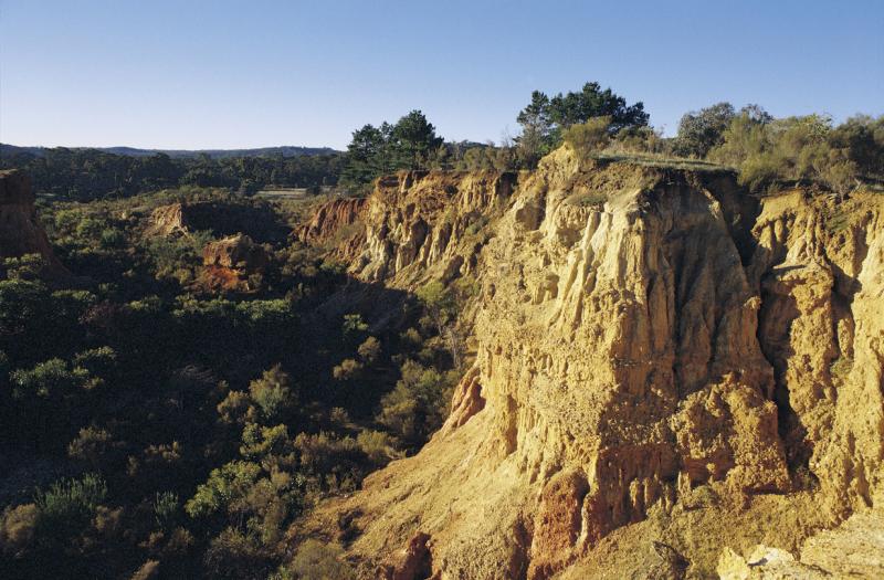 Goldfields highlights - Gold diggings at Castlemaine