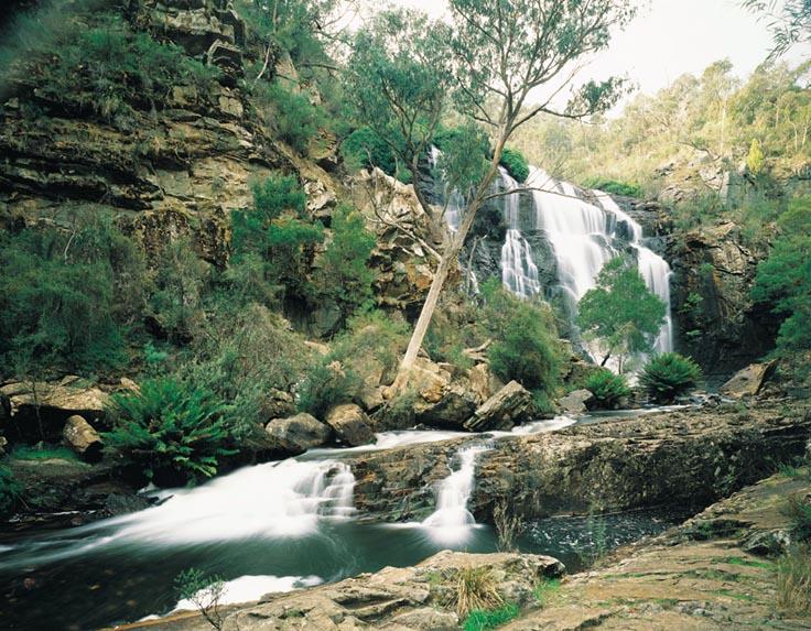 Grampians National Park - MacKenzie falls