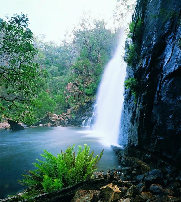 Grampians National Park - MacKenzie falls