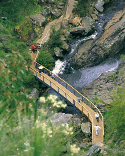 Grampians National Park - MacKenzie falls walking track