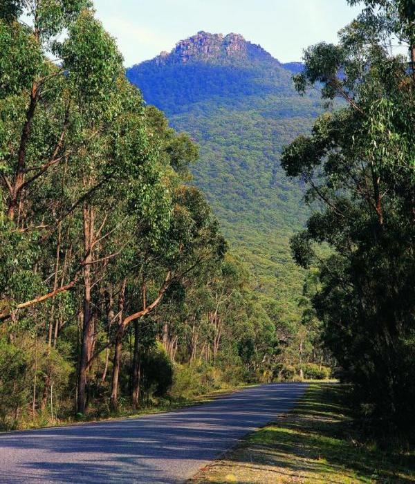 Grampians National Park - Road through the national park