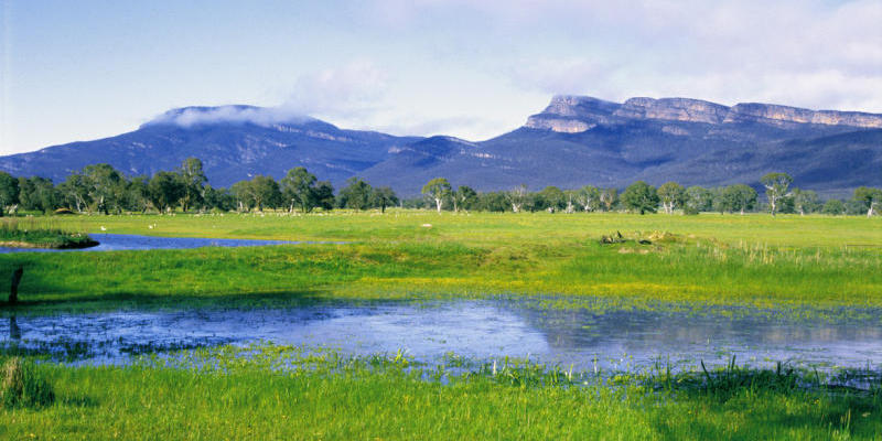 Grampians National Park - Wetlands