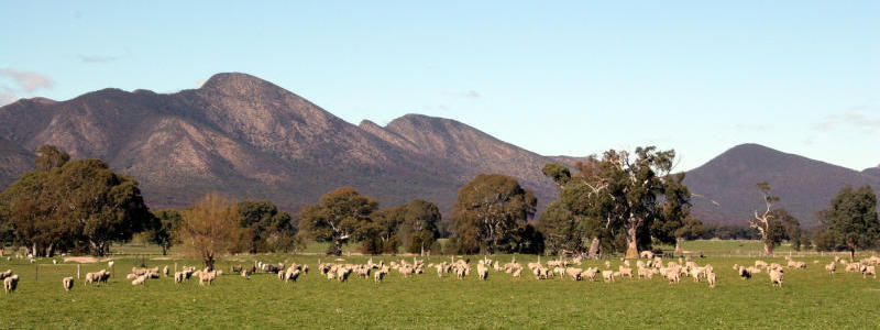 Grampians National Park - View of Grampians
