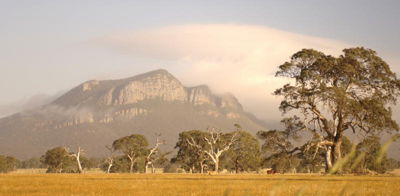 Grampians National Park - View of Grampians