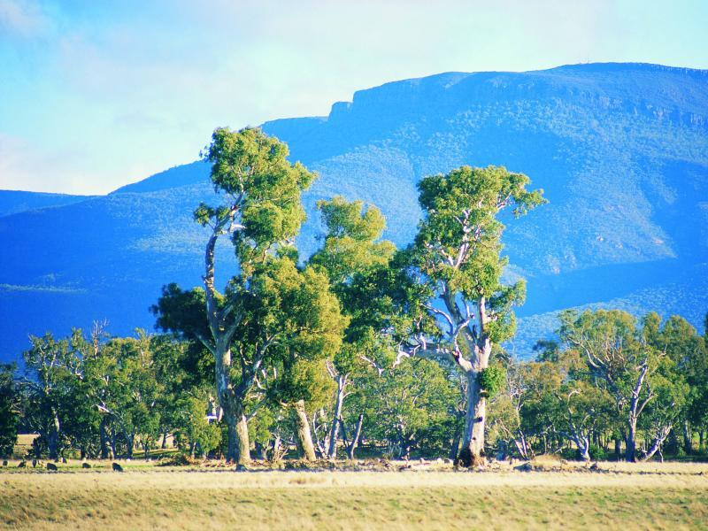Grampians National Park - View of Grampians