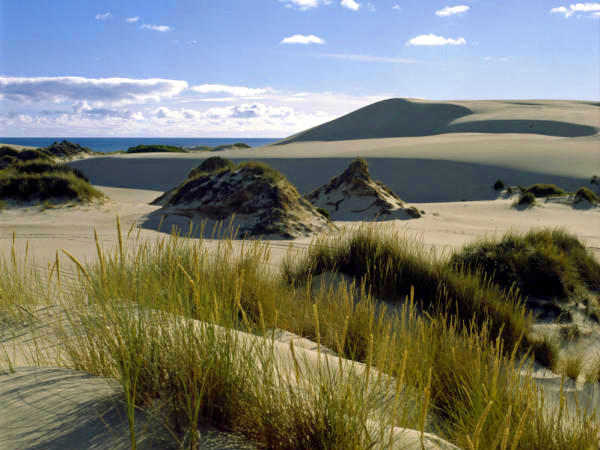 Beyond the Great Ocean Road - Sandy dunes, Discovery Bay