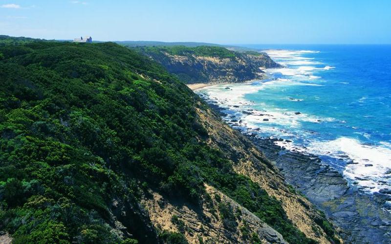Great Ocean Road coast - Coastline near Lorne