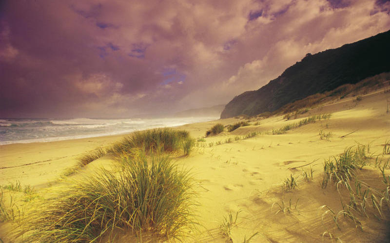 Great Ocean Road coast - Johanna Beach