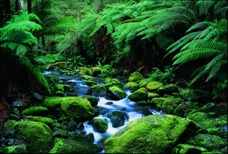 Otway